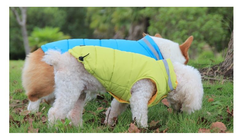 Höst- och vintertrendy valpkläder väst schnauzer corgi nallebjörn bichon frankrike pomeranian dunjacka_voghion.com