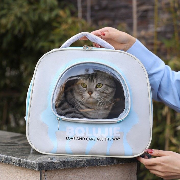 New Double Shoulder Large Capacity Breathable Handheld Cat Outdoor Portable Bag Pet Space Capsule_voghion.com