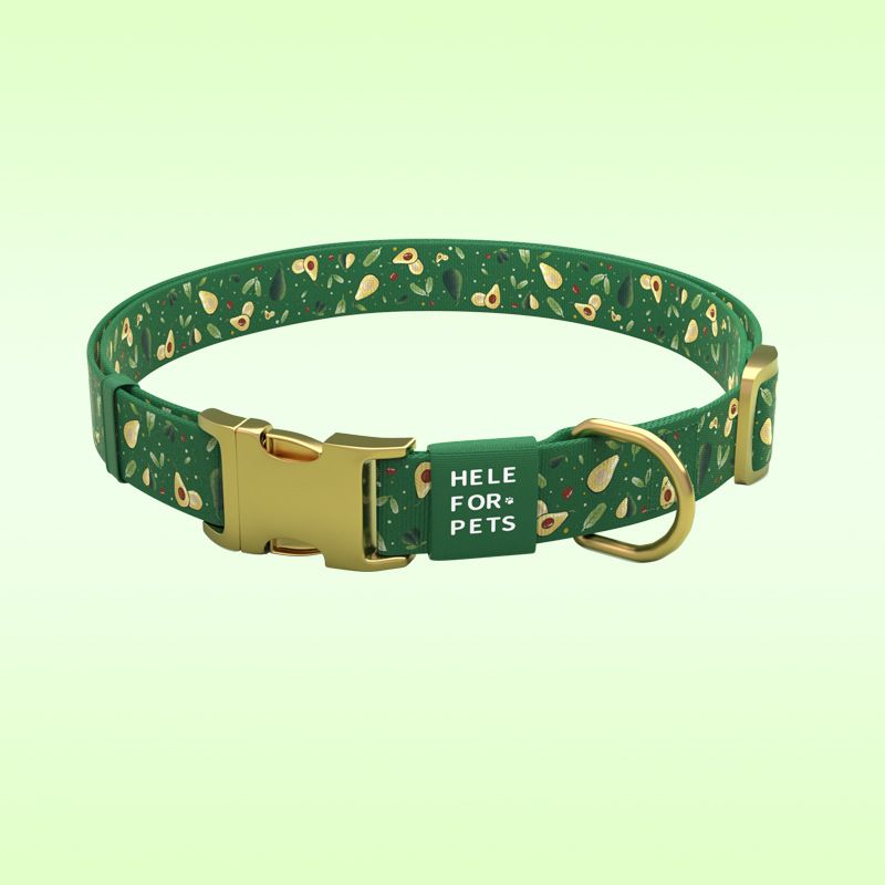Nuovo design, set di guinzagli per cani con motivo avocado, collare regolabile per esterni_voghion.com