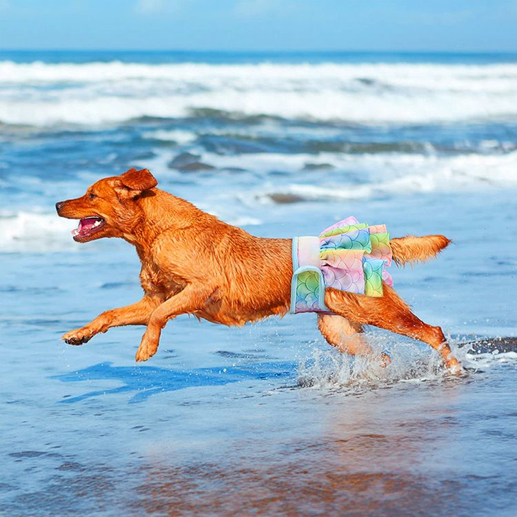 Dog Sanitary Set Pet Diapers Skirt Style Menstrual Pants_voghion.com