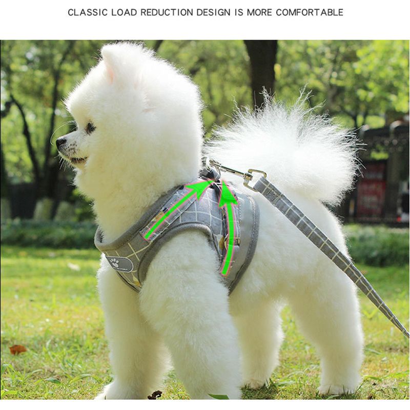 CDDMPET Adjustable Breathable Mesh Vest For Dogs, Leash And Harness Set By PawParty Store_voghion.com