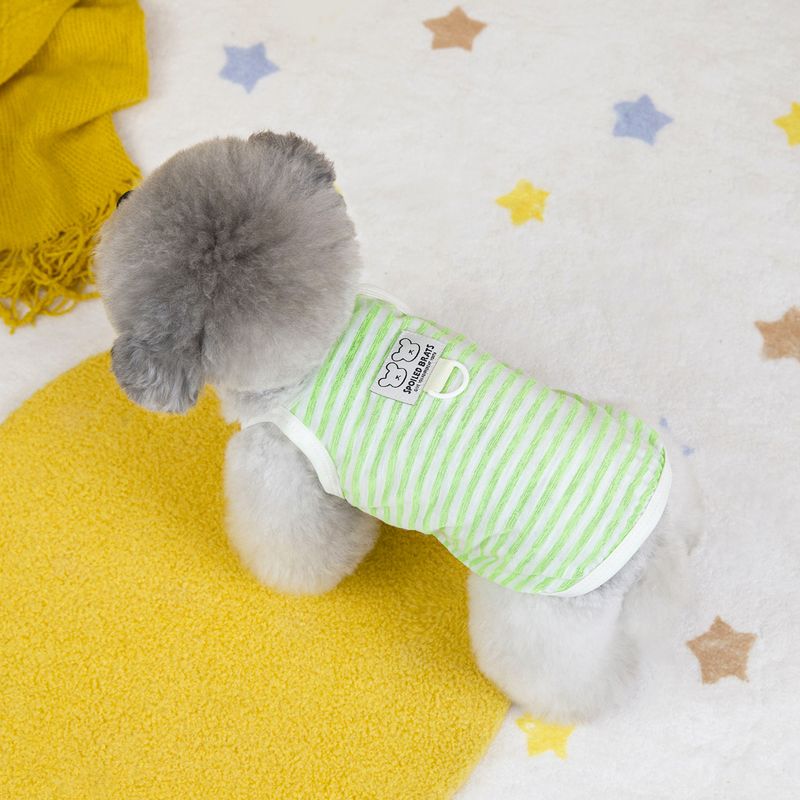 Abbigliamento per gatti, vestiti per cani, vestito per animali domestici, 25 strisce trasparenti, cinturino H_voghion.com