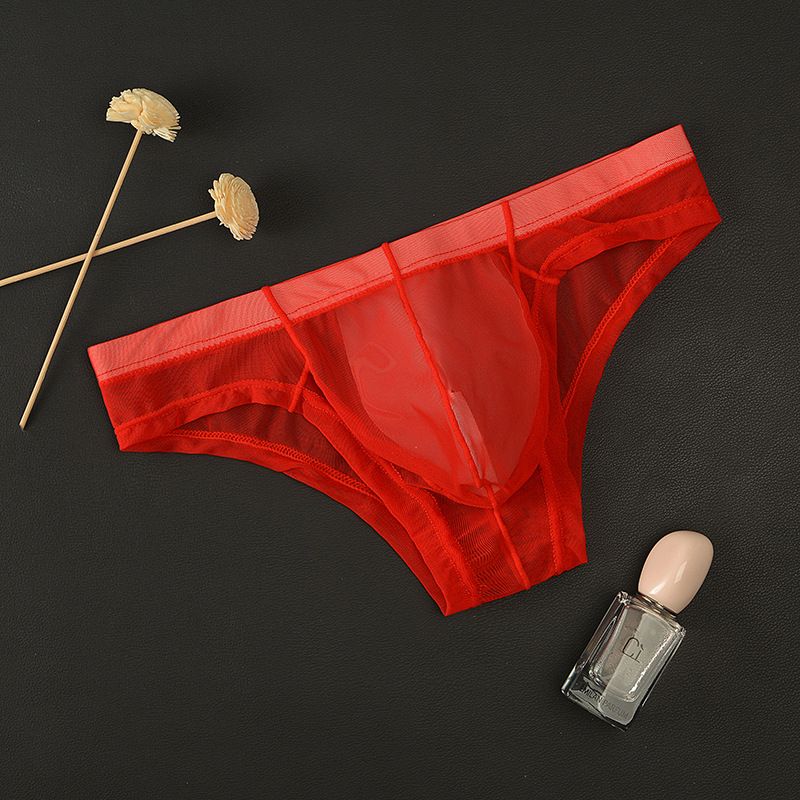 Junyou Herenondergoed Mesh Transparante Slips Dunne Herenzak Sexy Ademende Zomershorts voor Jonge Mannen_voghion.com