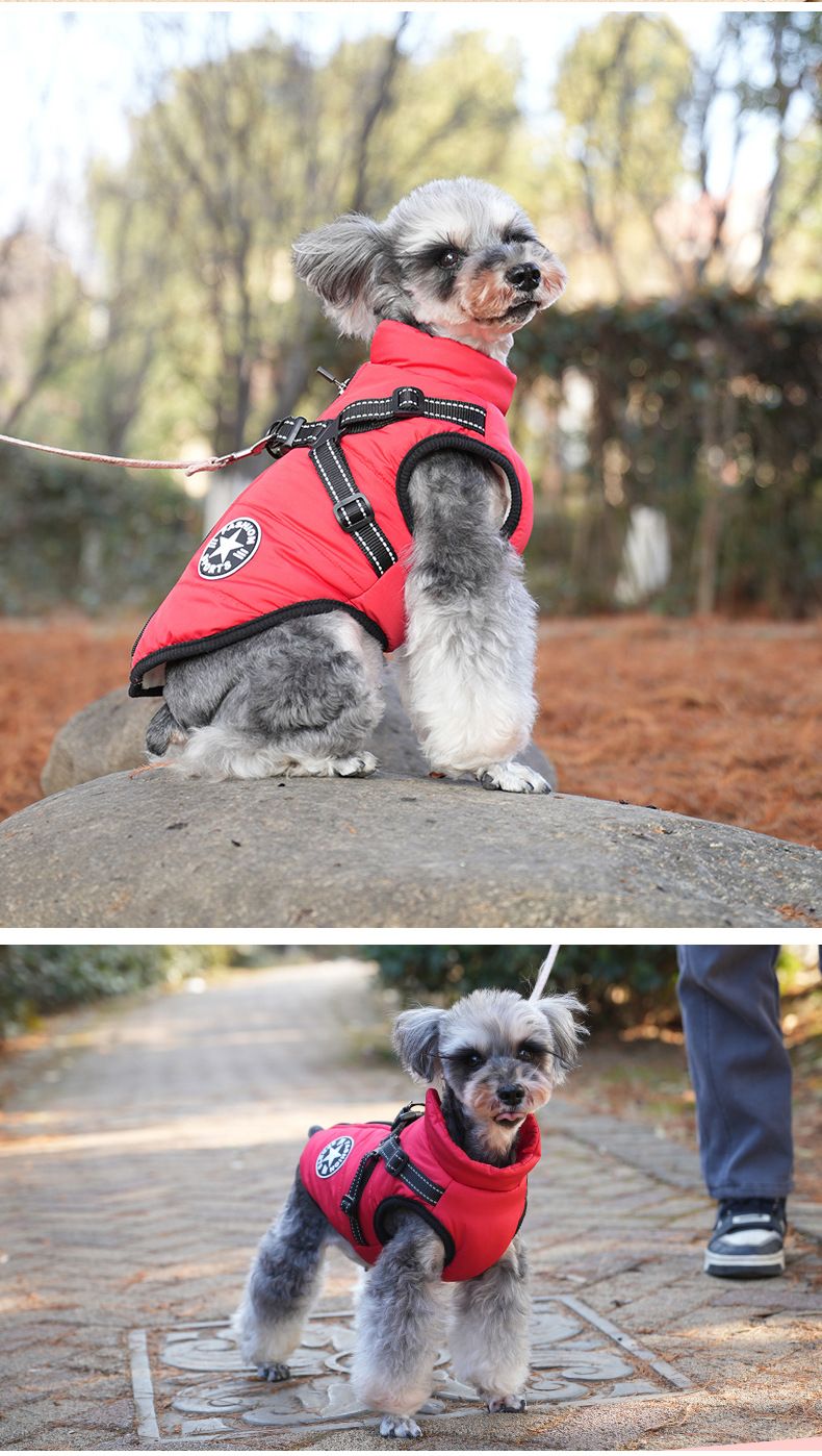 huisdier kleding hond jas katoenen kleding kleine hond tweebenige tractie vest borst rug winter warme kleding_voghion.com