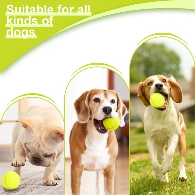 Lanzador automático de pelotas de tenis para perros de PawParty Store_voghion.com