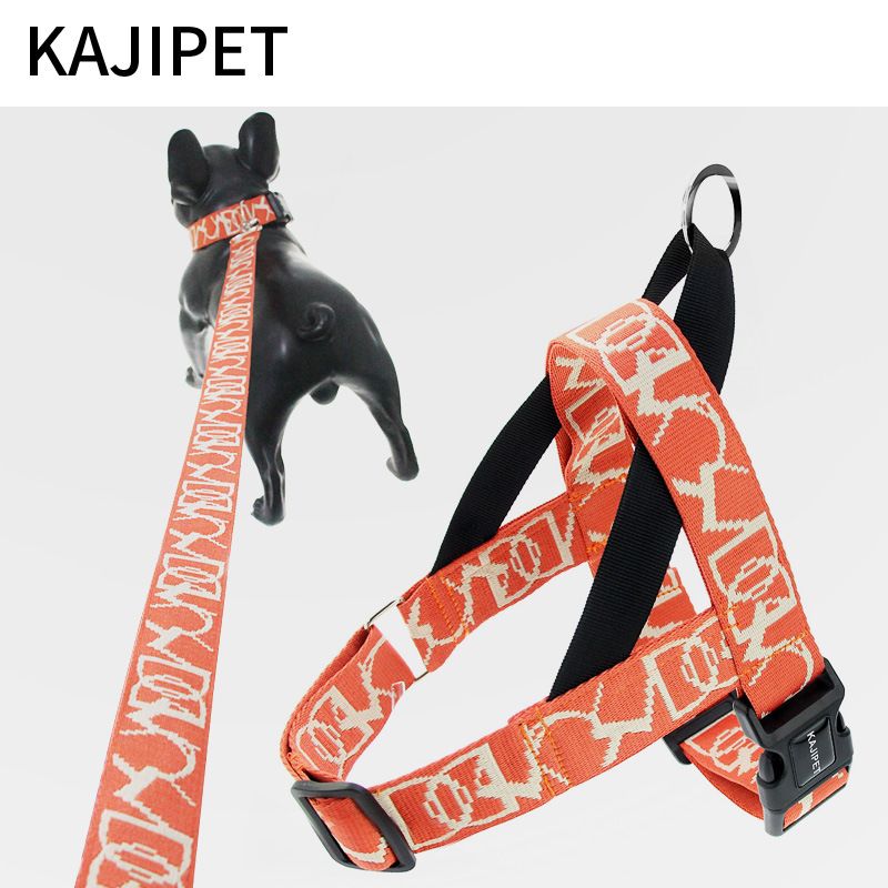 Hundeleine für kleine und mittelgroße Hunde Teddy Weste Kragen Harness Puppy Walking Kette_voghion.com