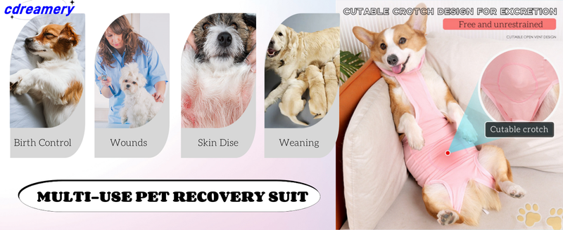 Set chirurgico per cani, set per il recupero degli animali domestici, set chirurgico per la sterilizzazione dei cani, stile bendaggio, abbigliamento postoperatorio semplice_voghion.com