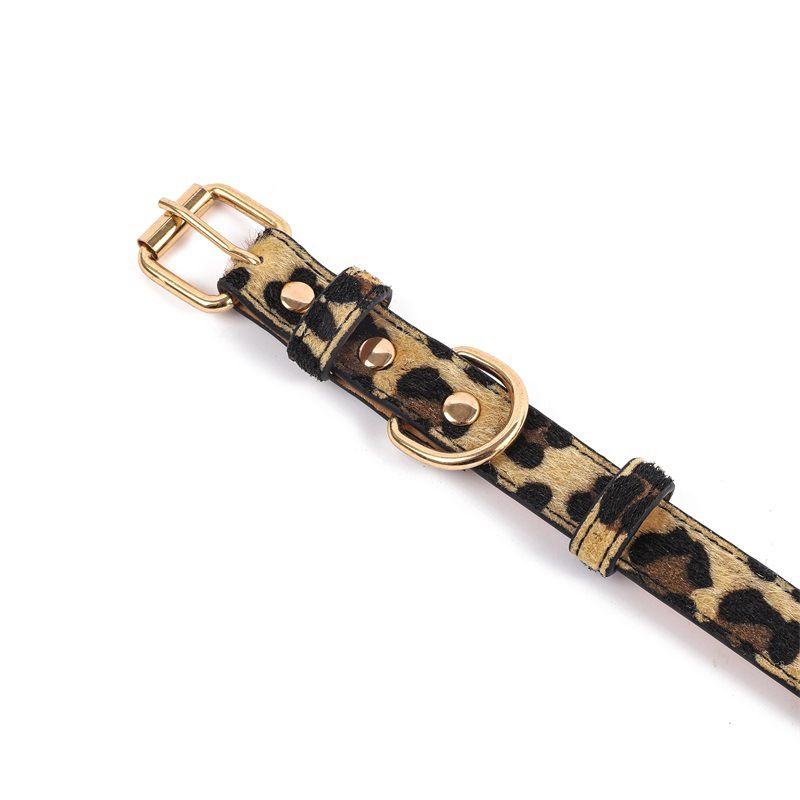 Neu Leopard Print Pet Einstellbare PU Katze Kleine Und Mittlere Hunde Im Freien_voghion.com