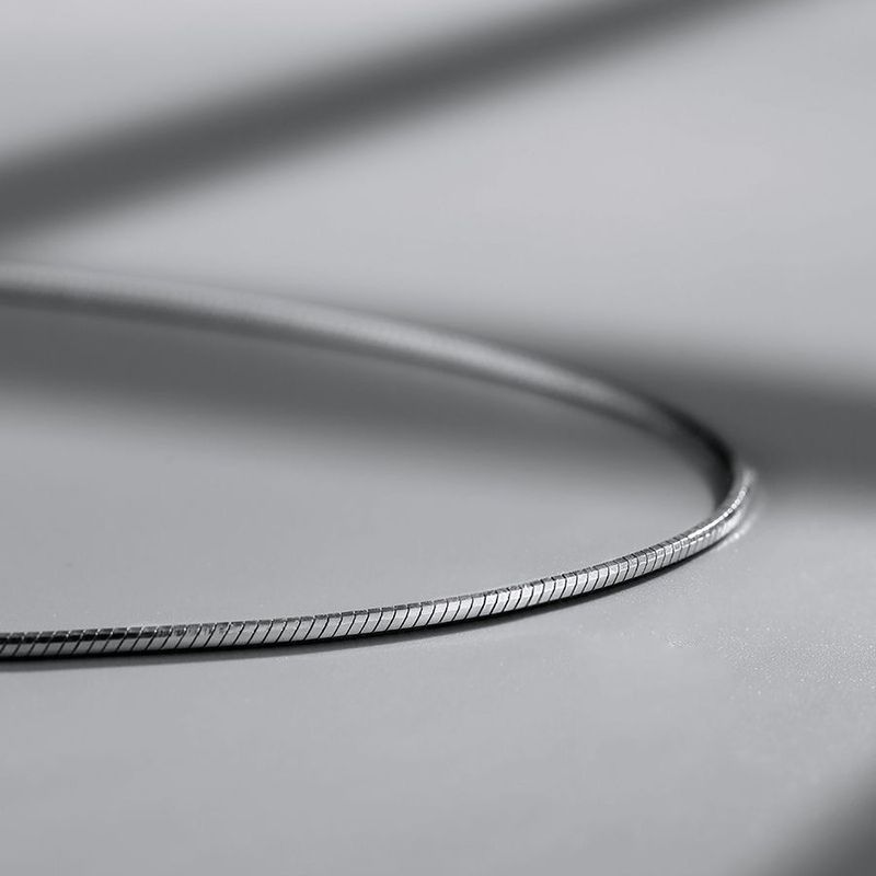 Snake Bone Necklace For Men Trendy High-End Clavicle Simple Neck Accessory Titanium Steel Thin Chain Versatile Men's_voghion.com