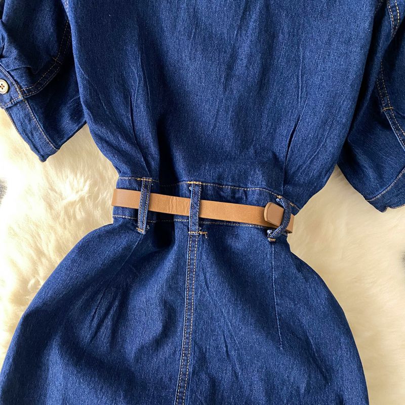 Dameskleding Licht Luxe Celebrity Stijl High End Polo Kraag Denim Jurk Voor Vrouwen Zomer Split Taille Riem Ontwerp Niche Temperament Lange Rok_voghion.com