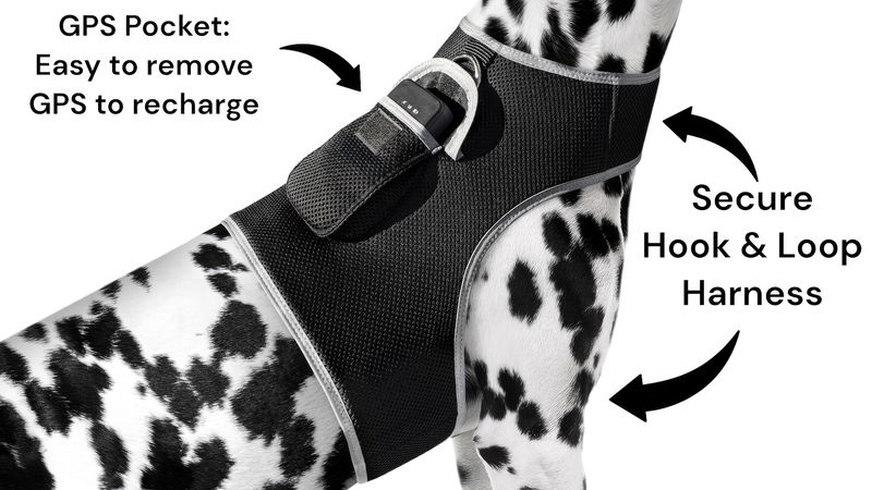 Economical Waterproof Mini GPS GSM Pet Tracker for Realtime Tracking Size:M_voghion.com