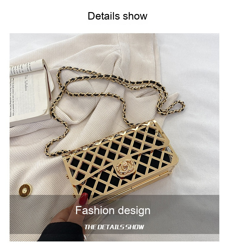 Borsa piccola in metallo Nuova borsa a tracolla personalizzata vuota alla moda europea e americana 2024 Borsa quadrata piccola a tracolla da donna Instagram_voghion.com
