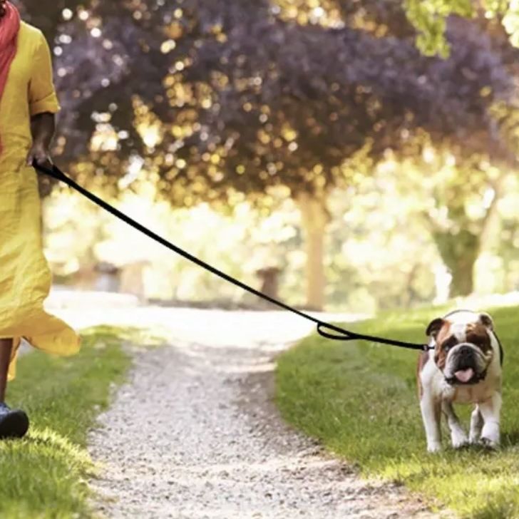 New Pet For Large And Medium Dogs, Reflective With Dual Handles, Explosion-Proof Dog Walking Leash_voghion.com