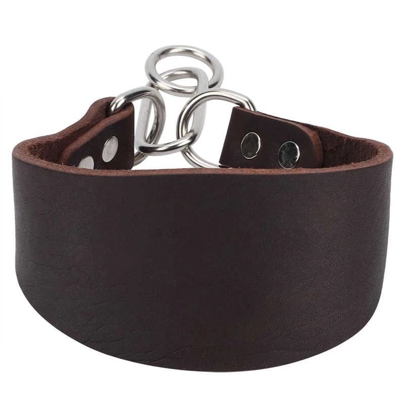 JANPET Hundehalsband aus Leder_voghion.com