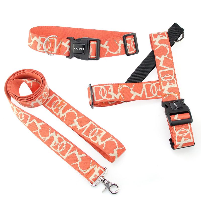 Hundeleine für kleine und mittelgroße Hunde Teddy Weste Kragen Harness Puppy Walking Kette_voghion.com