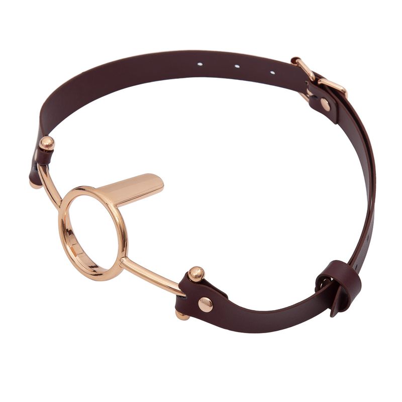 Prodotti sessuali per adulti Oro rosa e argento Metallo Gola profonda Abbassalingua Bavaglio Forniture per bavaglio Giocattoli per la bocca di contenimento_voghion.com
