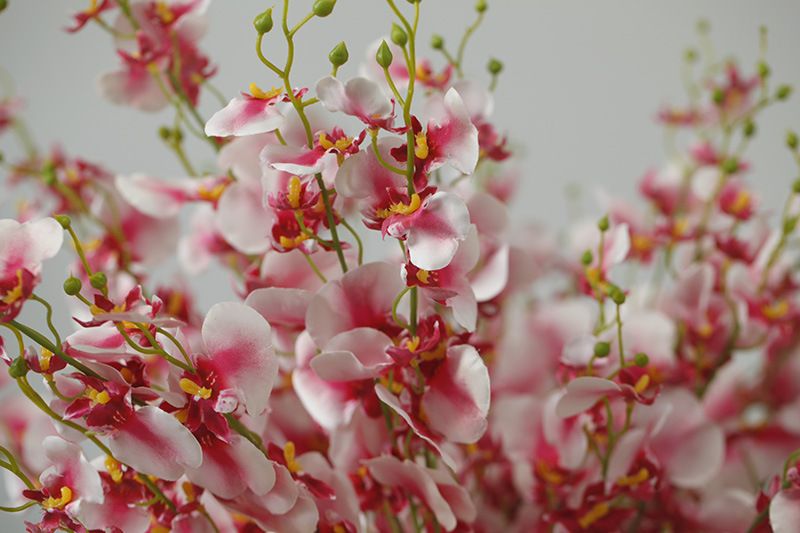 Phalaenopsis soggiorno da terra arte floreale oncidium composizione floreale decorazione domestica_voghion.com