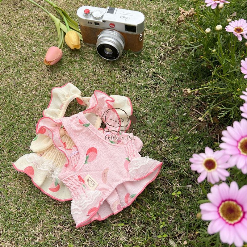 FeidianPet Spring Summer Pet Ins Style Peach Fresh Double Layer Lace Short Skirt Small Dog Cat Clothing_voghion.com