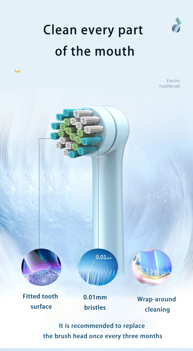 Adult Rotating Electric Toothbrushes Tails Sonic Teeth Whitening Rechargeable 4 Colors Options Timer IPX7 Brush_voghion.com
