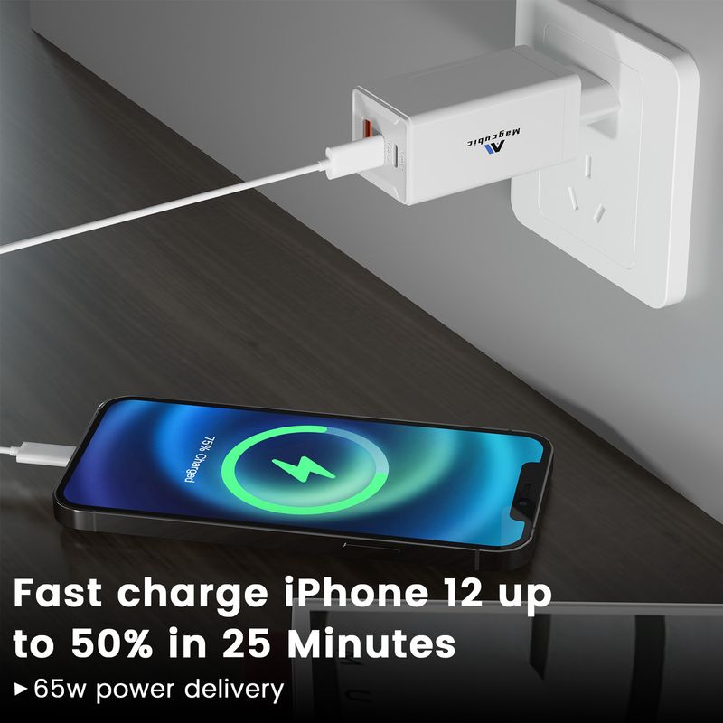 Transpeed 65W GaN Snellader USB-C Snelladen QC3.0PD3.0 5V 2A/4.5A Poort Type-C Snelle USB-lader Laptop iPhone12 Pro Max_voghion.com