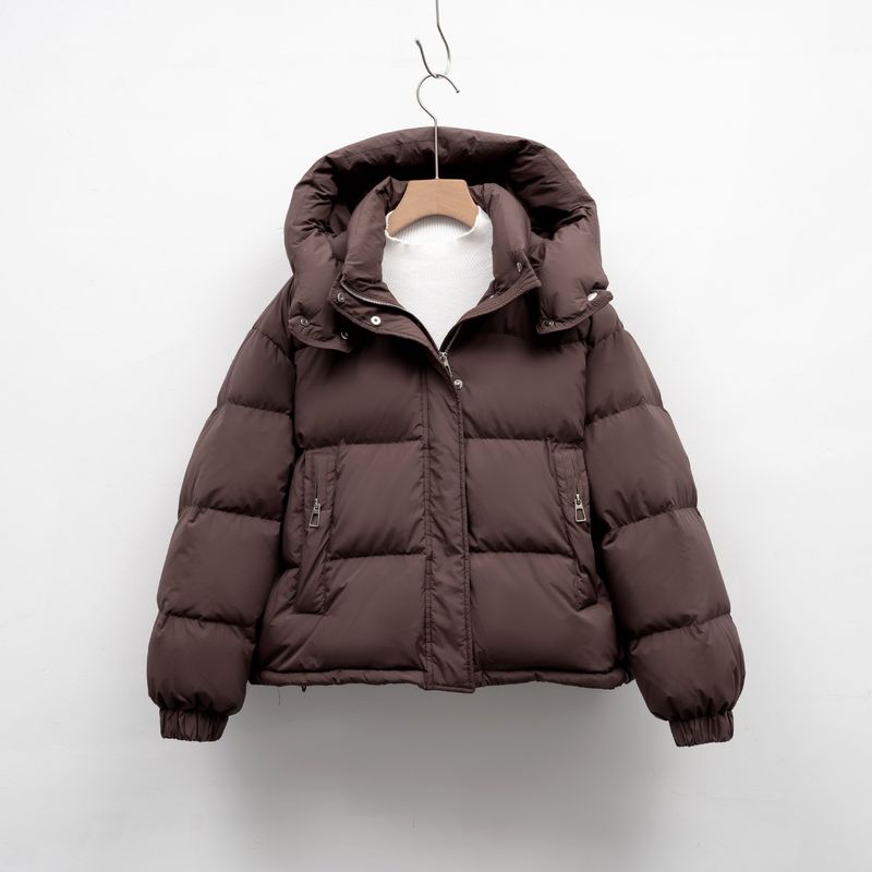 Pinghu Short Down Jacket For Women Winter New Korean Version Regular Simple Hooded Petite Warm Puffer Coat_voghion.com
