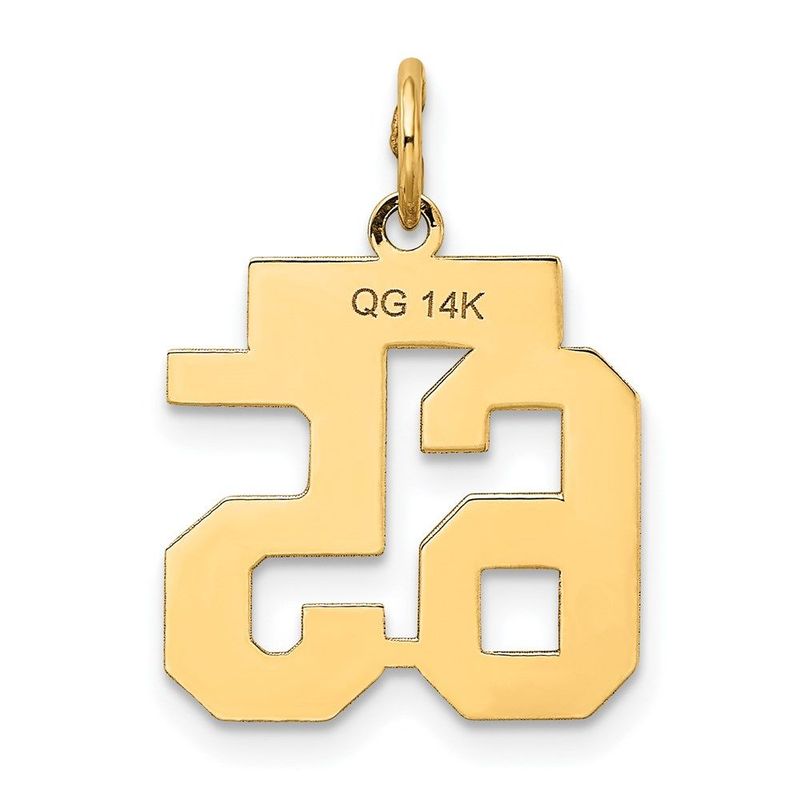 14k Small Satin Number 65 Charm_voghion.com