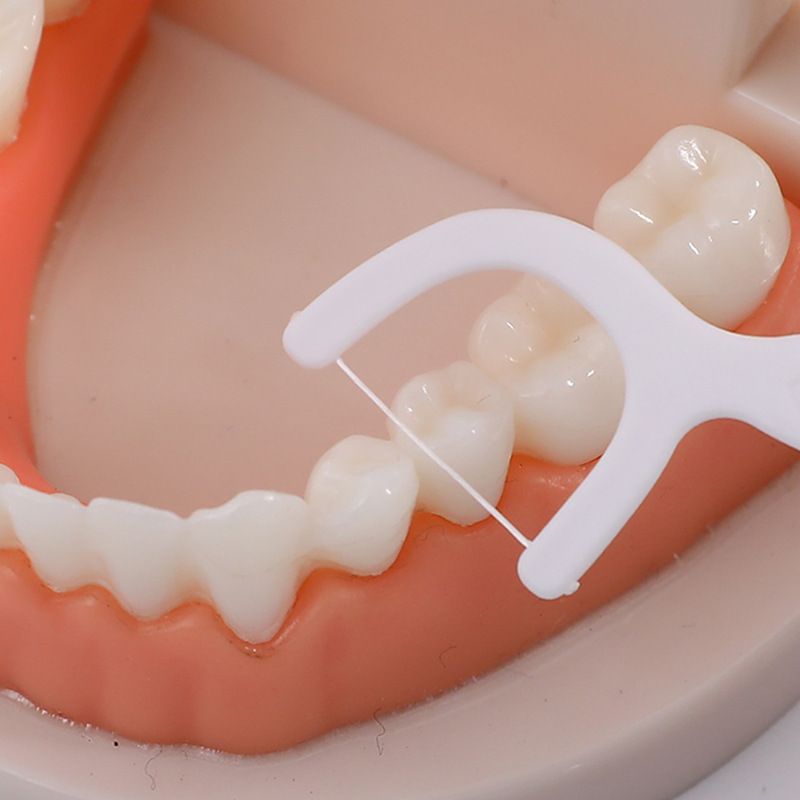 Enjoy Dental 50 Stück Große Reinigung Einweg-Picks Box Zahnseide_voghion.com
