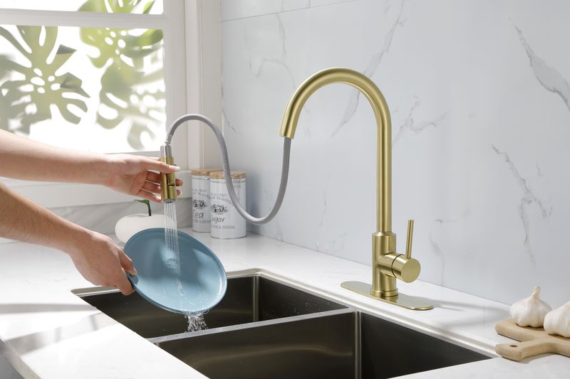 Kitchen Faucet with Pull Down Sprayer_voghion.com