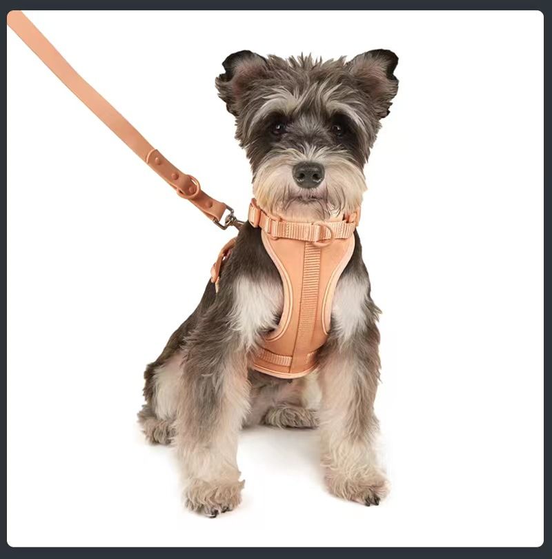 Collare antisporco e antimorso per animali domestici in PVC, set di trazione Waldone dello stesso modello_voghion.com