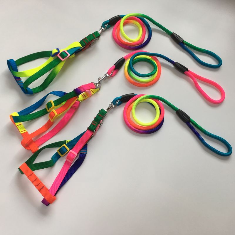 Colete redondo para animais de estimação, coleira no peito, estilo corda colorida_voghion.com