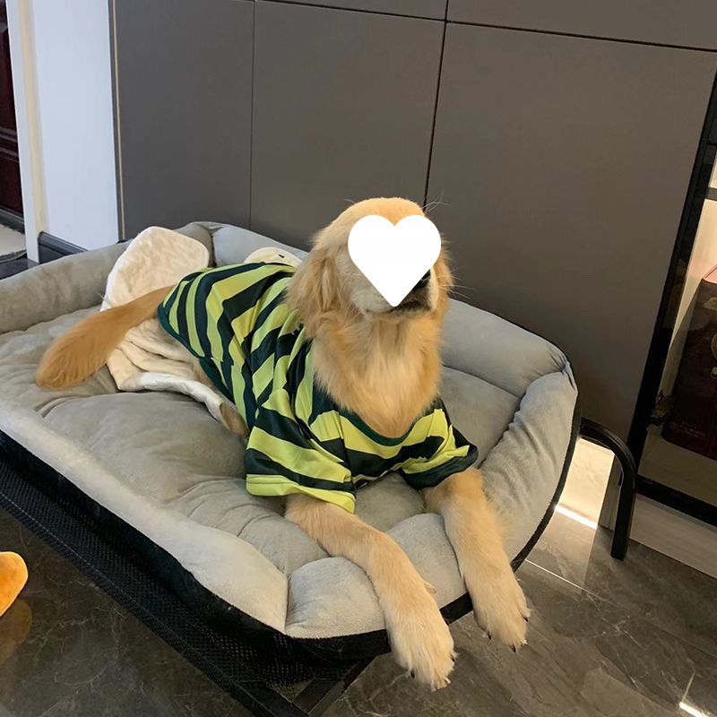 Große Hunde Frühling Sommer Dünn Gestreift Labrador Golden Retriever Internet Promi Trendy Marke Hund Kleidung_voghion.com