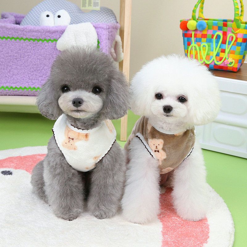 Autumn and Winter 2023 new dog clothes Crescent bear velvet vest Teddy Bomei cute pet dog clothes in stock_voghion.com