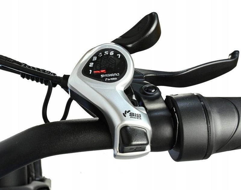 BAOLUJIE DP-2620 Electric Bicycle, All-in-One Wheel, 750W Motor, 48V 13Ah Battery, 7-Speed SHIMANO, Hydraulic Disc_voghion.com