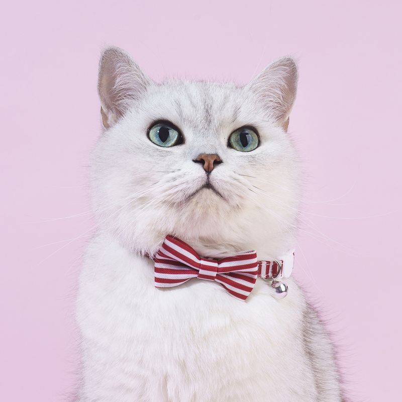 Adjustable Bow Pet Bell Striped Buckle Cat Collar_voghion.com