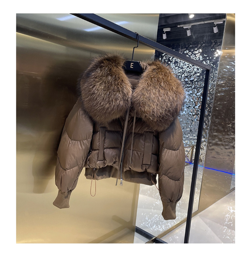 Versione europea 2023 Inverno Nuova Luce All-match Grande Collo di Pelliccia delle Donne Allentate a Maniche Lunghe Pane Versione Coreana Giù_voghion.com