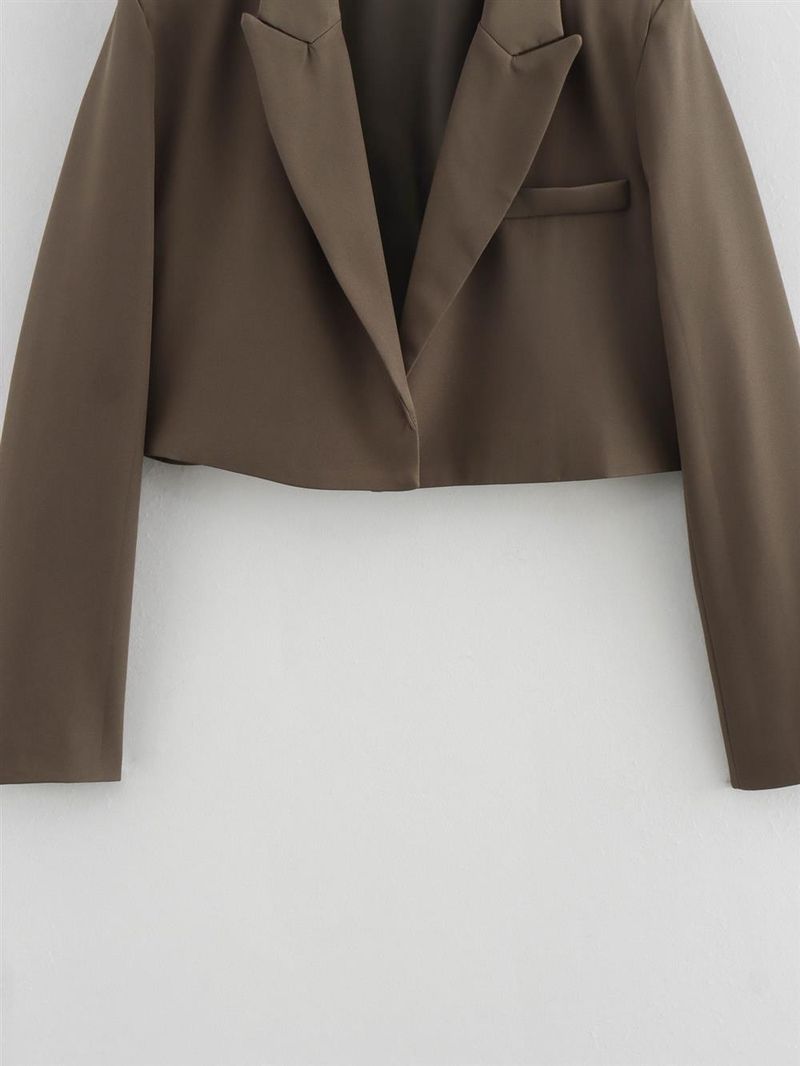 Women's Clothing 2024 Autumn Winter New Style Personality Fashion Simple Short Blazer Jacket For Women_voghion.com