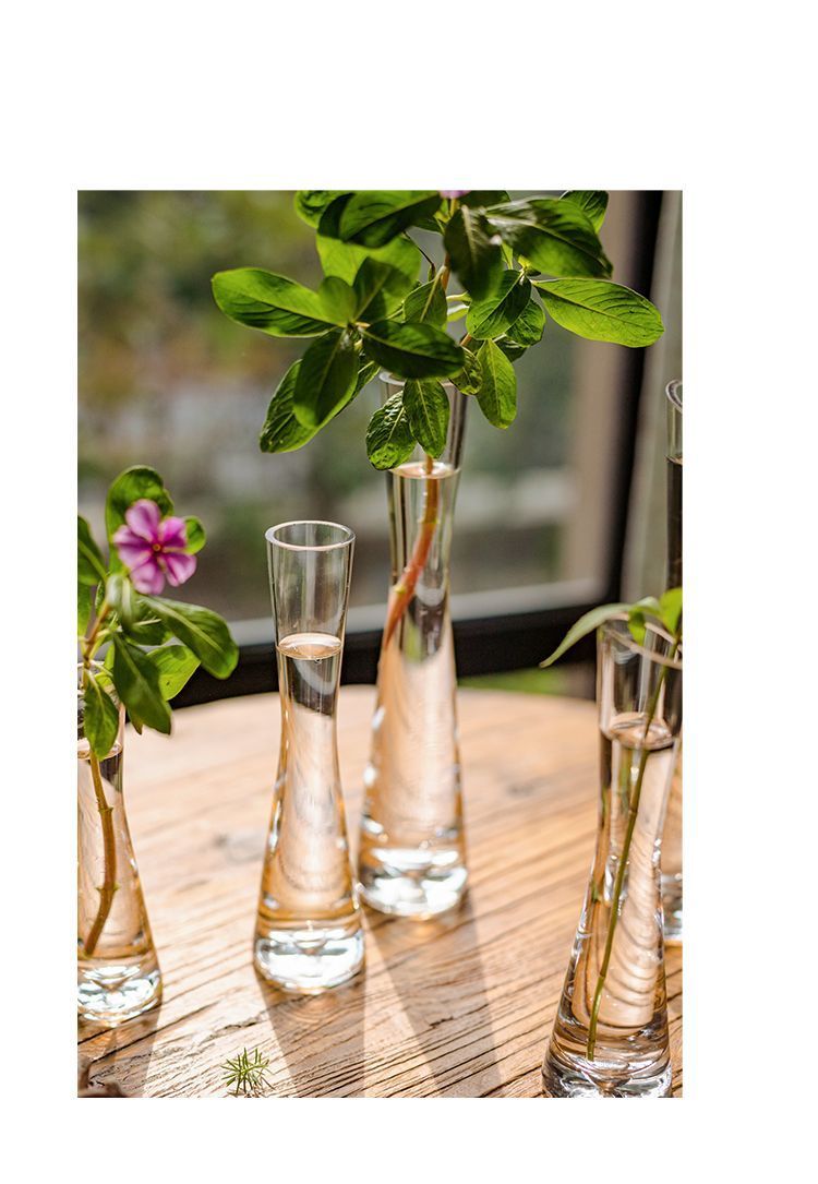 【 46000 People Collected 】 Juhan Nordic Ins High Beauty Arrangement Water Nourishing Small Vase Glass Transparent_voghion.com
