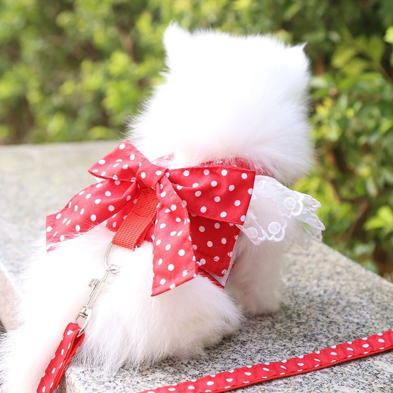 Harnas, Mooie kanten riem voor katten, Strik, Borstriem, Halsband, Huisdieraccessoires, Hondenriem, Rode strik_voghion.com