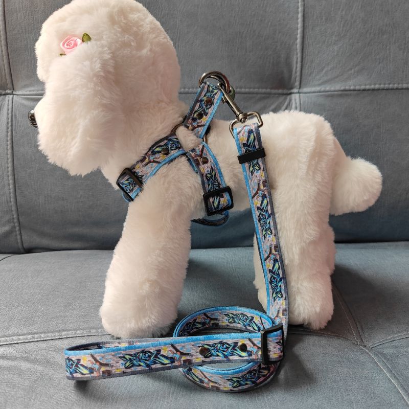 2022 New Street Graffiti Pet Leash Harness Trendy Personalizowany łańcuch dla psa z liny_voghion.com