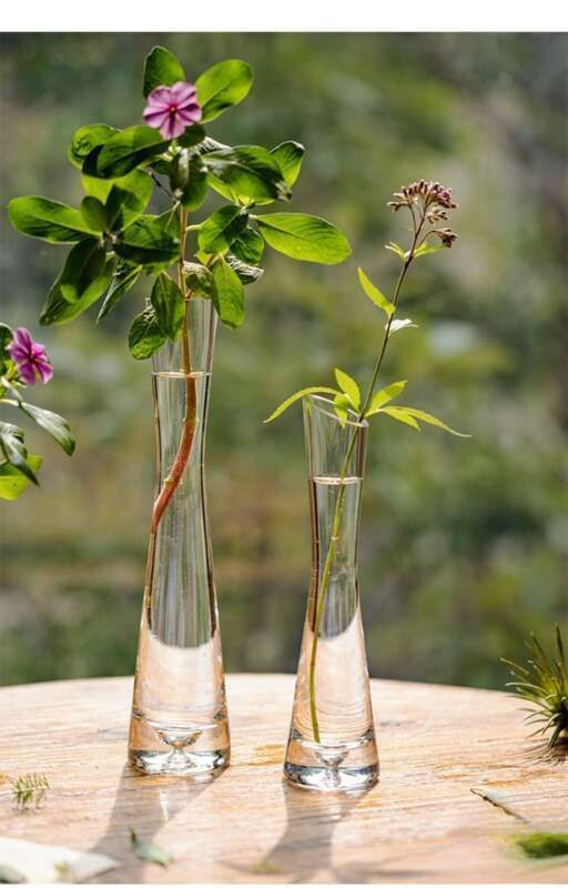 【 46000 People Collected 】 Juhan Nordic Ins High Beauty Arrangement Water Nourishing Small Vase Glass Transparent_voghion.com