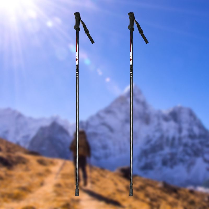 One Section Multi-Functional Ultra-Light Aluminum Alloy Double Board Snow Ski Stick Couple Model_voghion.com