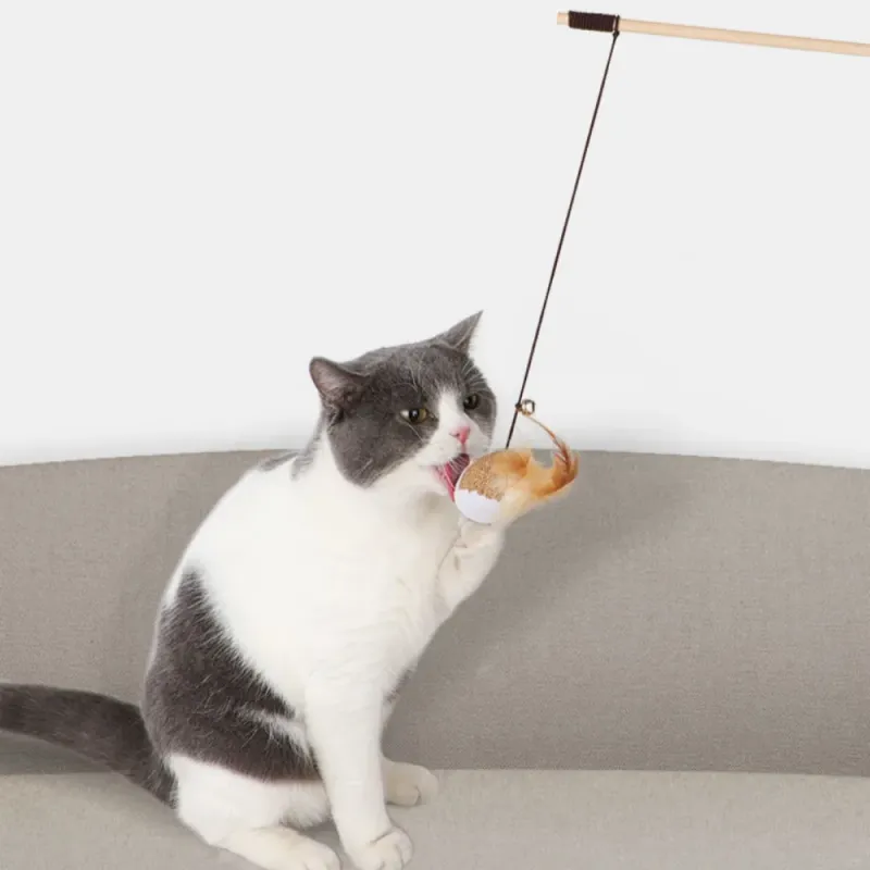 MOONBIFFY Sisal Feather Toys For Cats By PawParty Store_voghion.com