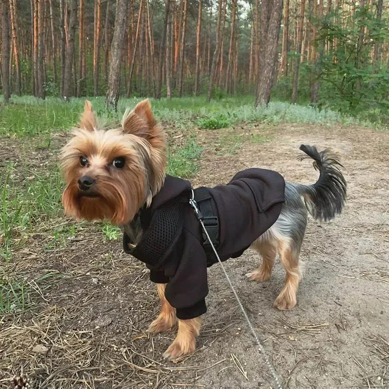 PetMundo Polyester Dog Hoodie By PawParty Store_voghion.com
