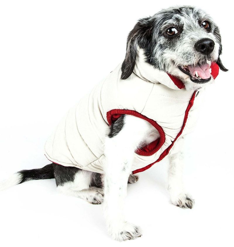 Touchdog Waggin Swag Reversible Insulated Pet Coat_voghion.com
