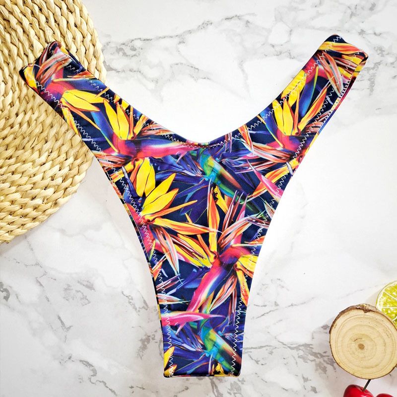 New Printed Women's Sexy Two-Piece Bikini Brazilian Hot Spring V-String Swim Bottoms_voghion.com