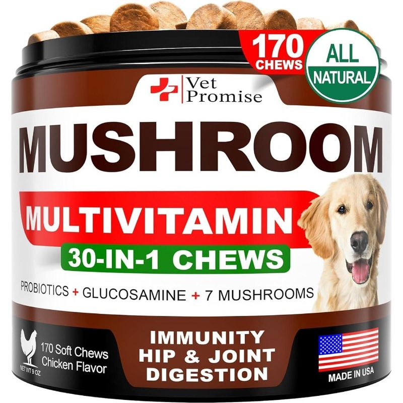 Dogs Chews Supplement Mushroom Dogs Mane For For Mushroom 170 Support Lions Tail Mushroom Turkey For Reishi Multi Immunity Dogs_voghion.com
