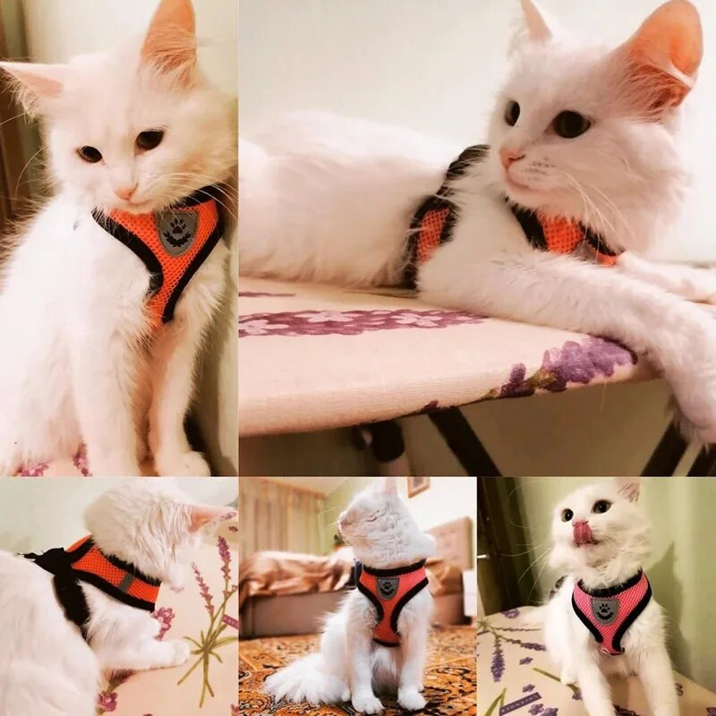 Pet Harness Soft Mesh Training Chihuahua Puppy Dog Collar Breathable Adjustable Necklace For Pug Bulldog Cat Arne Perro_voghion.com