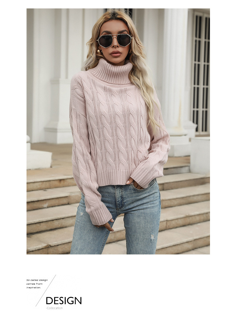 Autumn Valentine's Day Women's Solid Color Braided Long Sleeve High Neck Base Sweater_voghion.com