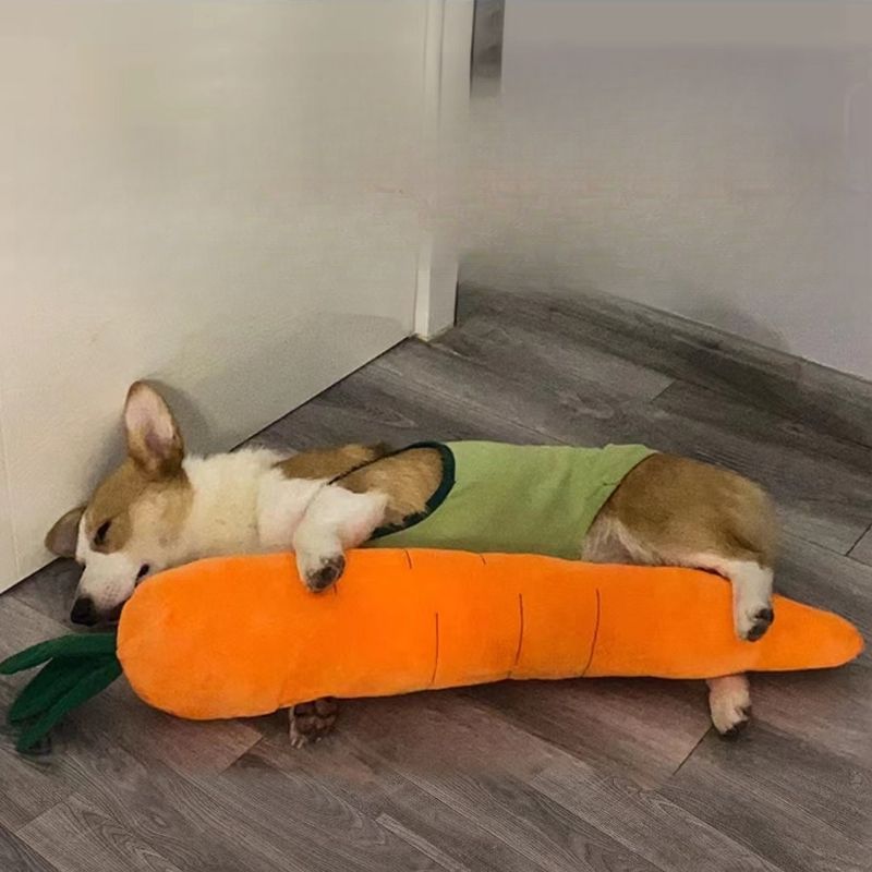 Pet Supplies Durable Chew New Dog Pillow Squeaky Self-Entertainment Sound Simulation Plush Toy_voghion.com