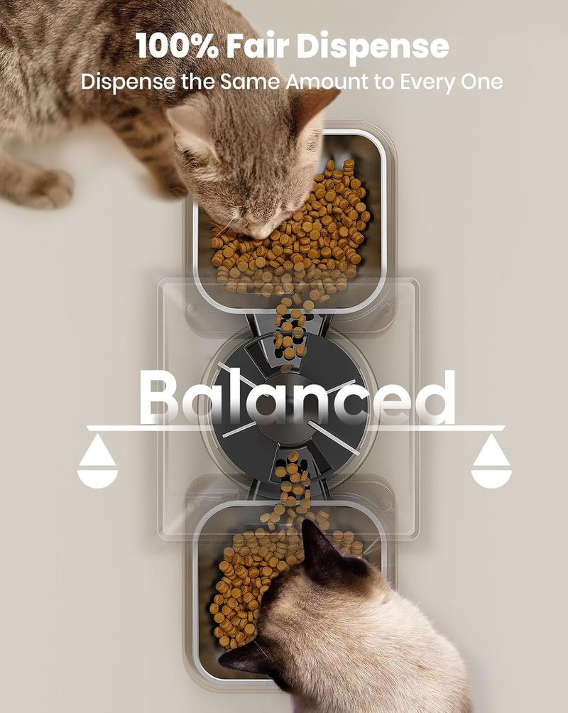 5L Futterautomat Katze 2 Näpfe, Katzenfutter Automat Mit Einem Knopf, Einfache Bedienung, Futterspender Für Katzen/Hunde, Mit Edelstahlschüssel, Voi_voghion.com